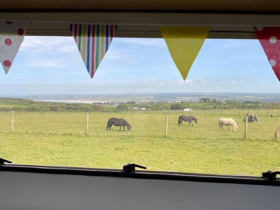 Lily Cosy Campervan With Sea Views & Amazing Sunrises St Ives Zewnętrze zdjęcie